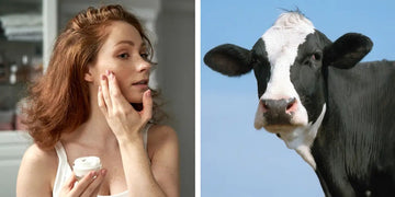 How to Use Beef Tallow Balm on Skin? - Miracle Tallow